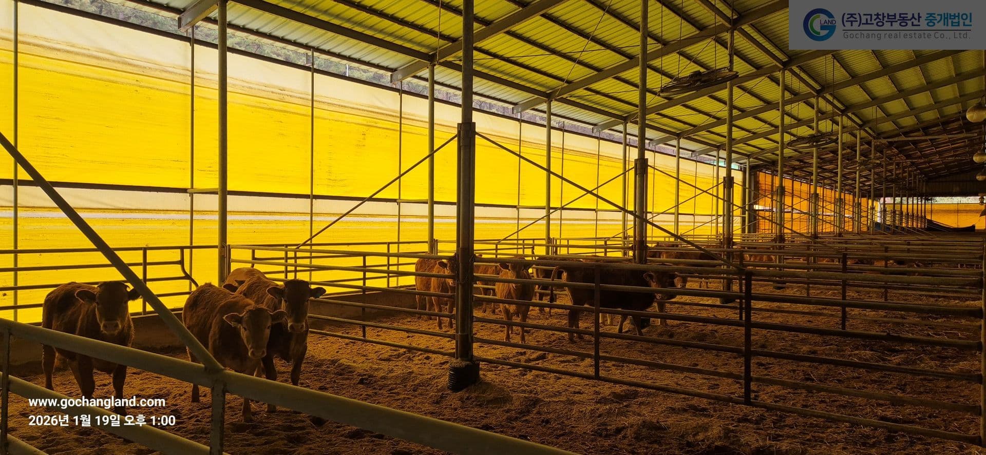 고창군 신림면의 한우 사육용 축사 3