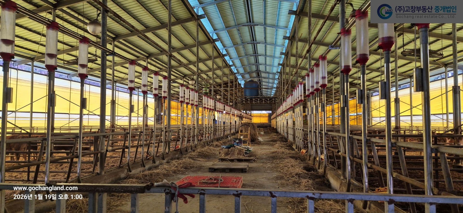 고창군 신림면의 한우 사육용 축사 4