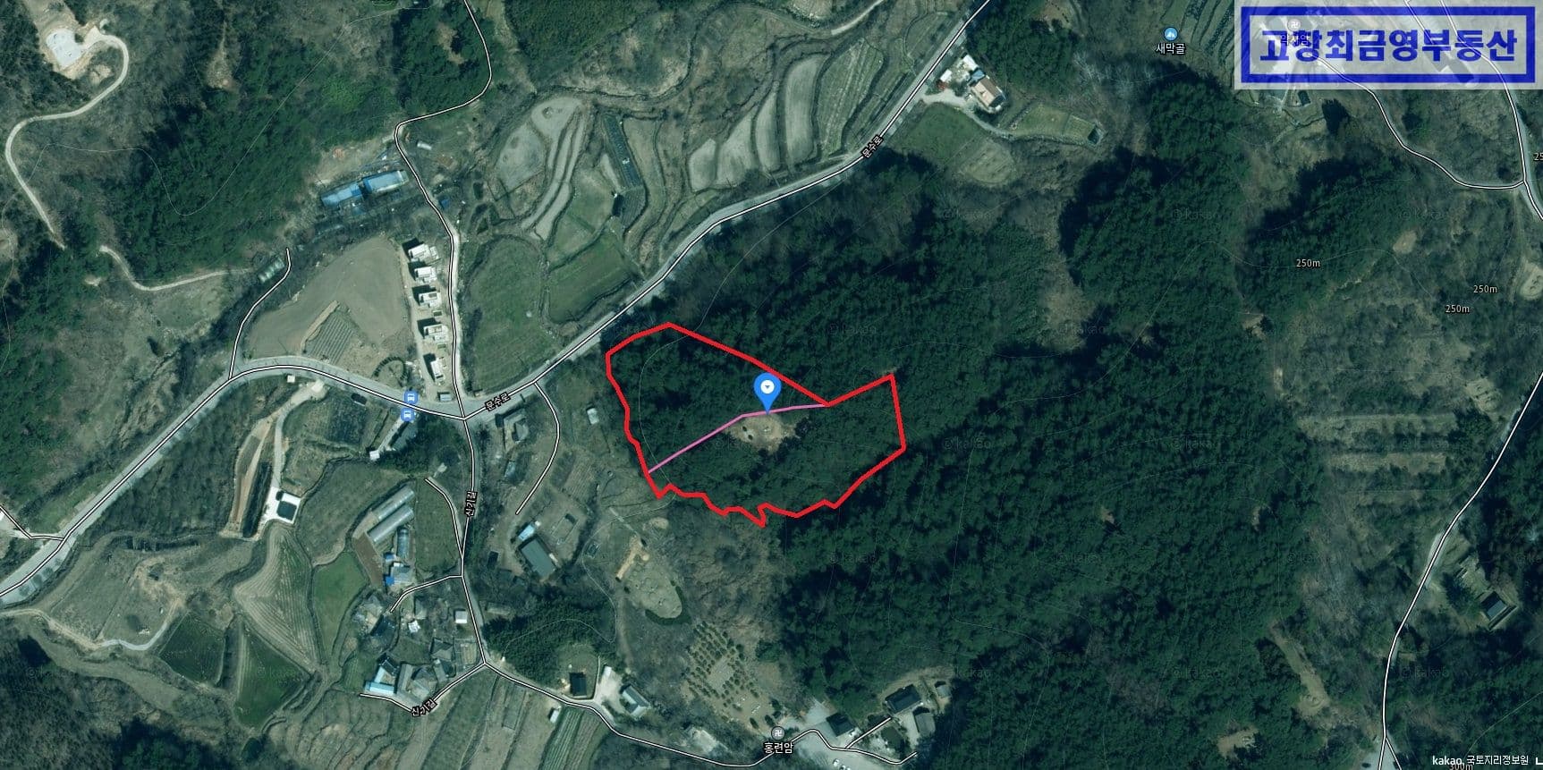 고창군 고수면 은사리에 위치한 일반 임야