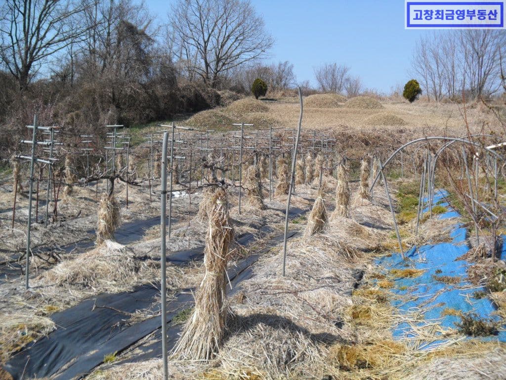 고창군 흥덕면 후포리에 위치한 한우사육용 축사와 주택 4