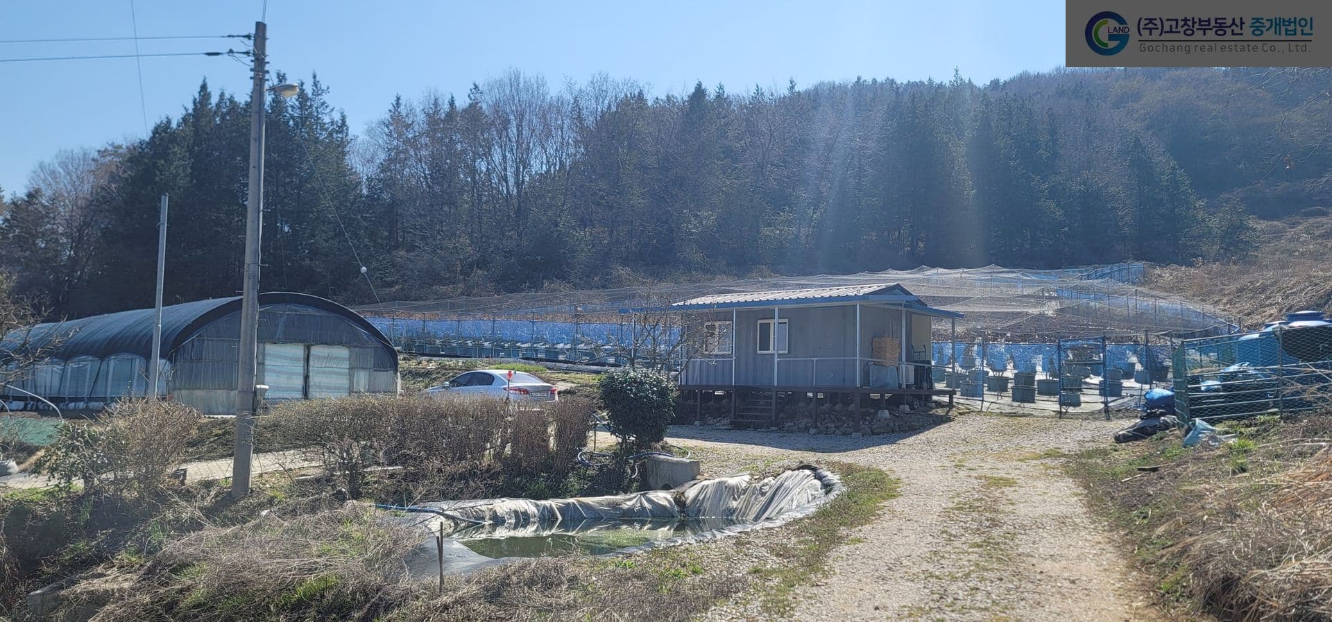 고창군 공음면 신대리 다소 외딴곳에 위치한 블루베리 농장 3