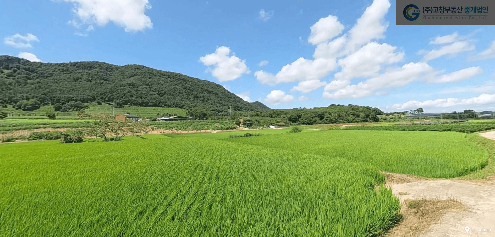 고창군 신림면 벽송리에 위치한 벼농사용 농지