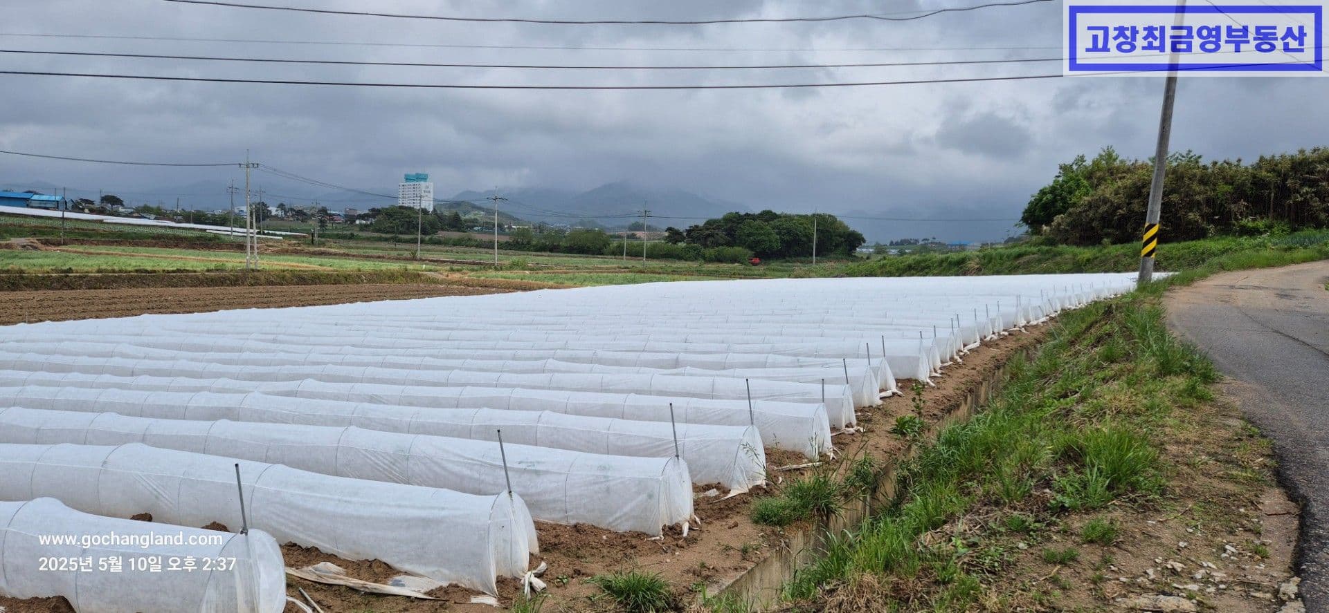 고창군 대산면 산정리에 위치한 미등기 농가주택과 농지 3