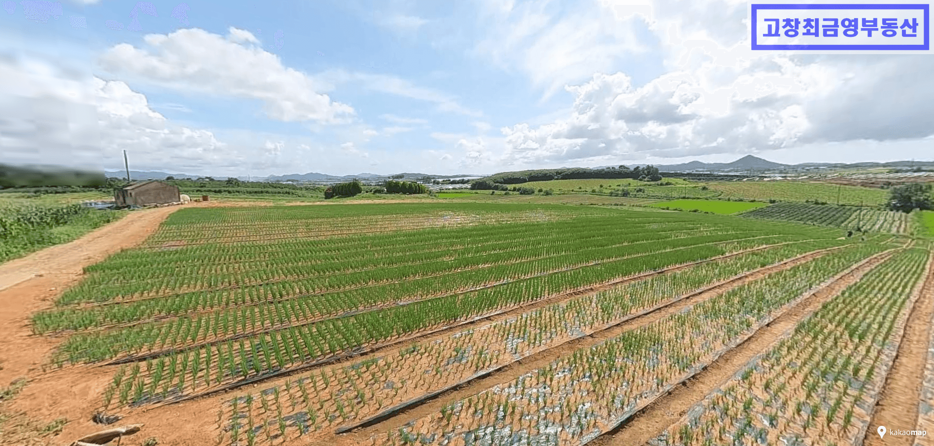 고창군 대산면 광대리에 위치한 밭농사용 대형 농지 2